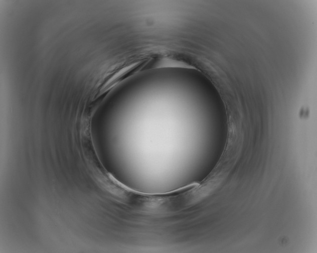 X0000092020096200709201600