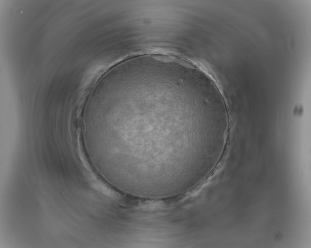 X0000092020097200709201600