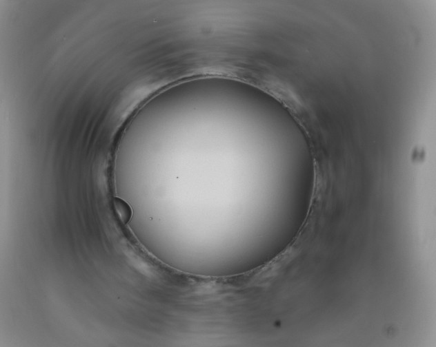 X0000092020098200709201600