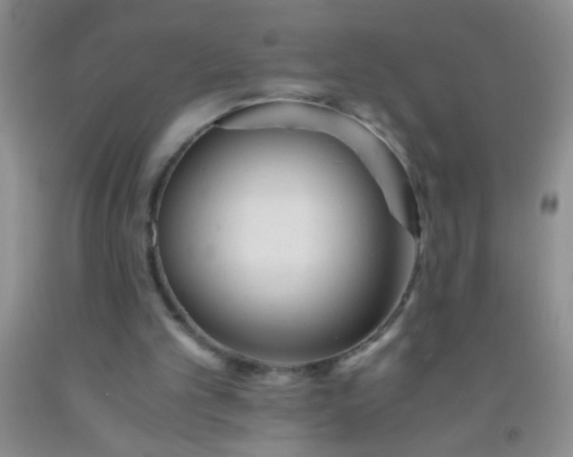 X0000092020101200709201559