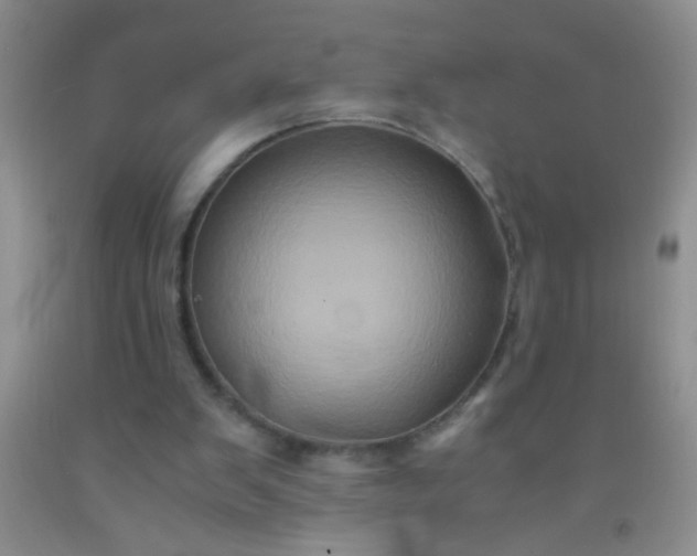 X0000092020103200709201559