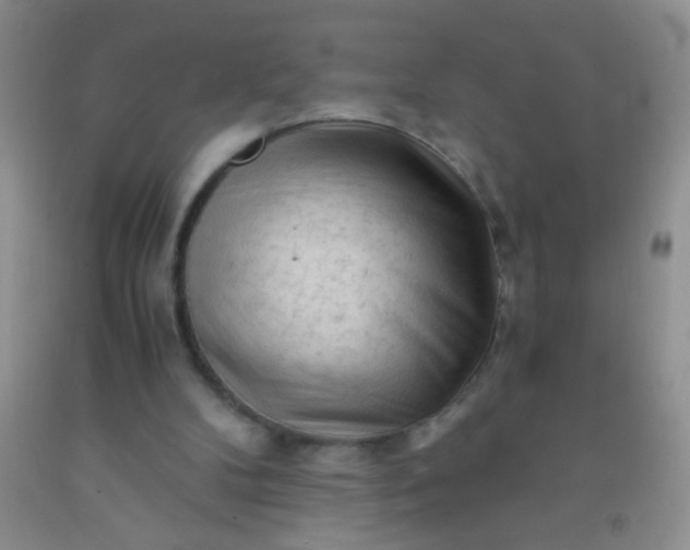 X0000092020104200709201559