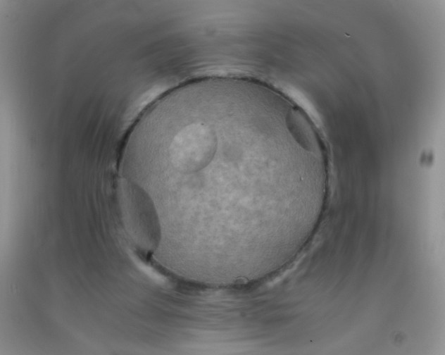 X0000092020105200709201559