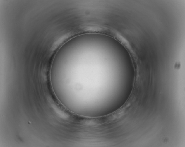 X0000092020106200709201559