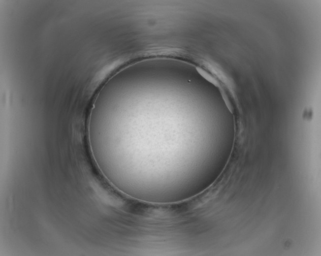 X0000092020107200709201559