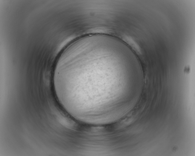 X0000092020108200709201559