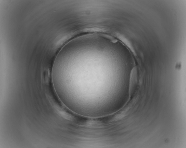 X0000092020109200709201559