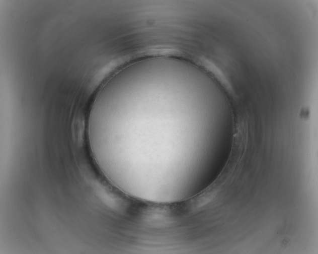 X0000092020110200709201559