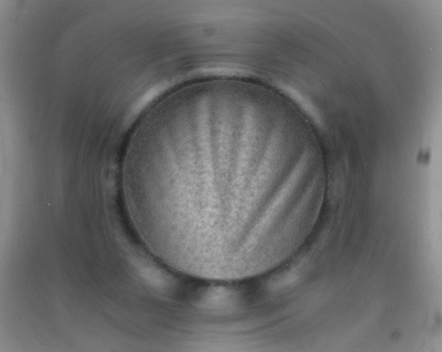 X0000092020111200709201559