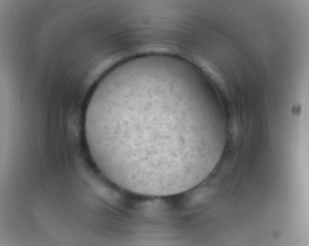 X0000092020112200709201559