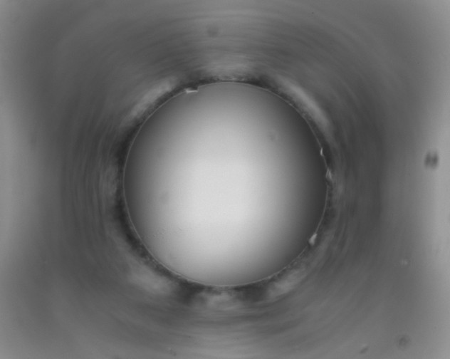 X0000092020113200709201559