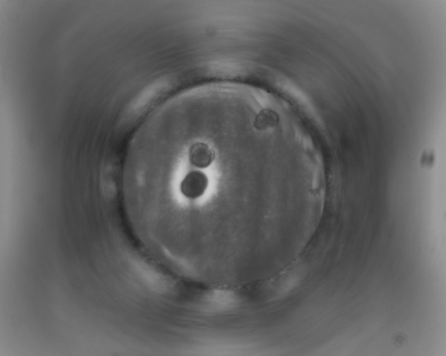 X0000092020114200709201559