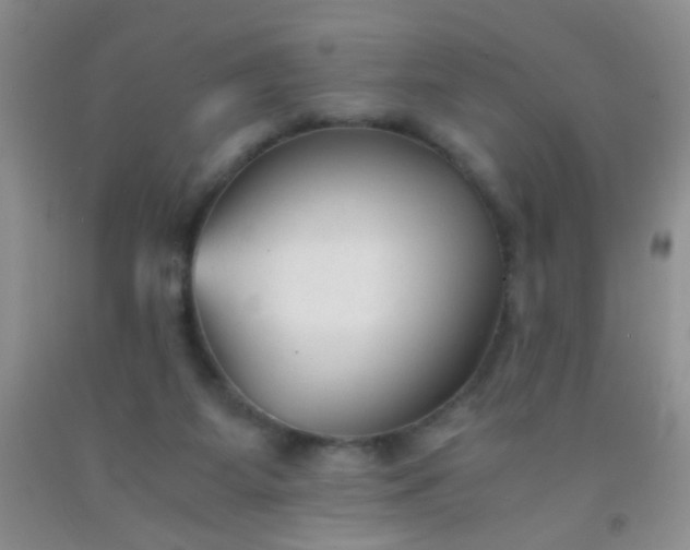 X0000092020115200709201559