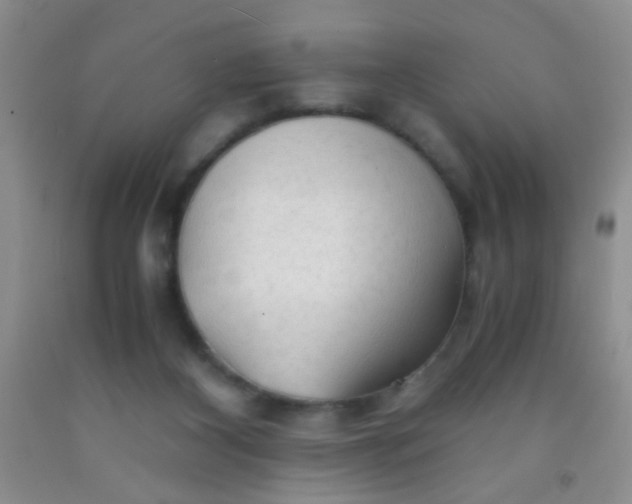 X0000092020116200709201559