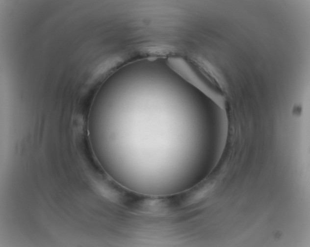 X0000092020117200709201559