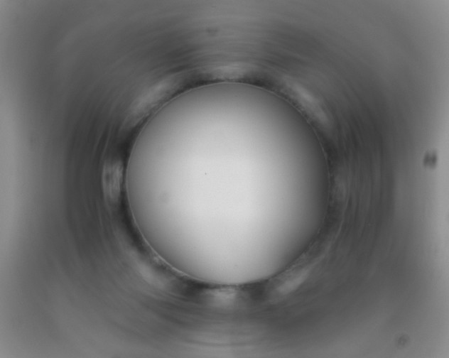 X0000092020118200709201559