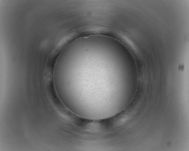 X0000092020119200709201559