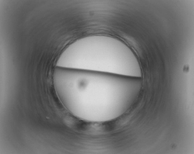 X0000092020121200709201559