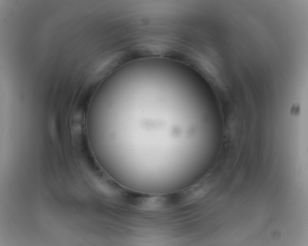 X0000092020122200709201559