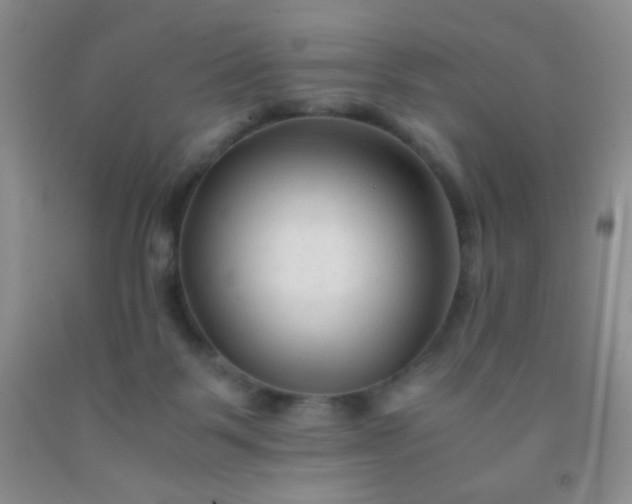 X0000092020123200709201559