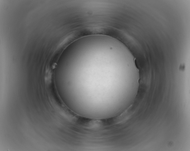 X0000092020124200709201559