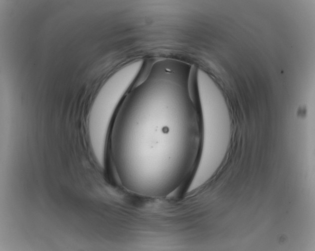 X0000092020125200709201559