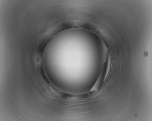 X0000092020129200709201559