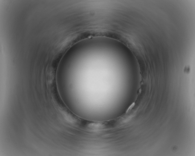 X0000092020133200709201559