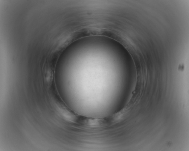 X0000092020134200709201559