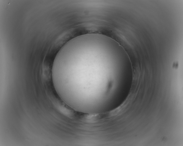 X0000092020136200709201559