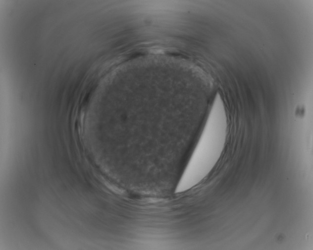 X0000092020137200709201559