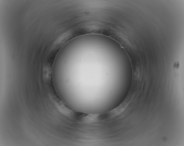 X0000092020138200709201559