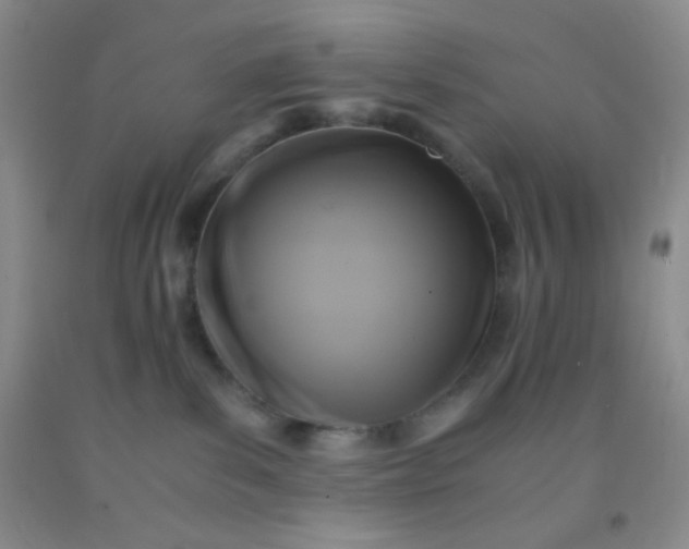 X0000092020139200709201559