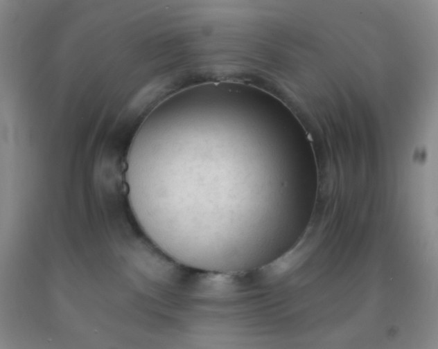 X0000092020140200709201559