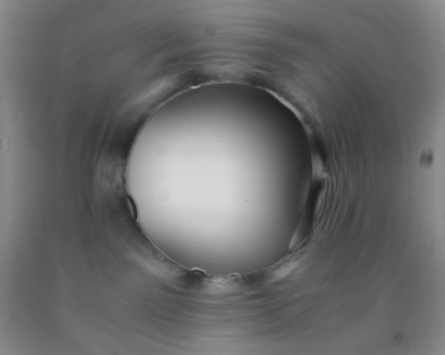 X0000092020141200709201559