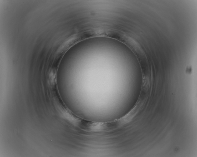 X0000092020142200709201559