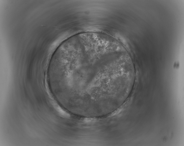 X0000092020145200709201558