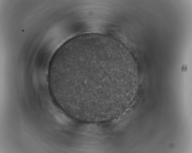 X0000092020146200709201558