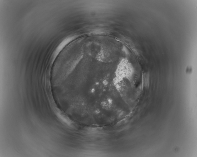 X0000092020147200709201558