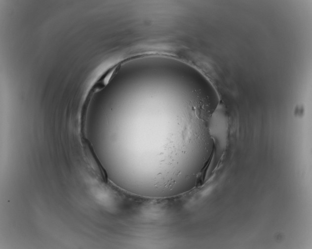 X0000092020148200709201558