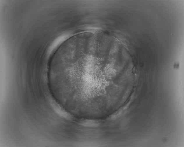 X0000092020149200709201558