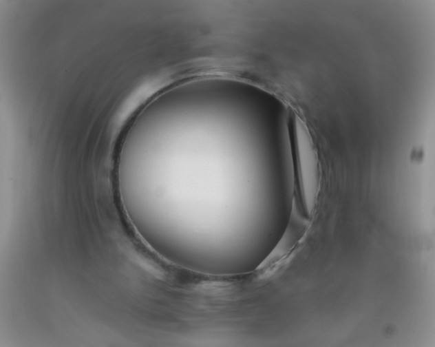 X0000092020150200709201558