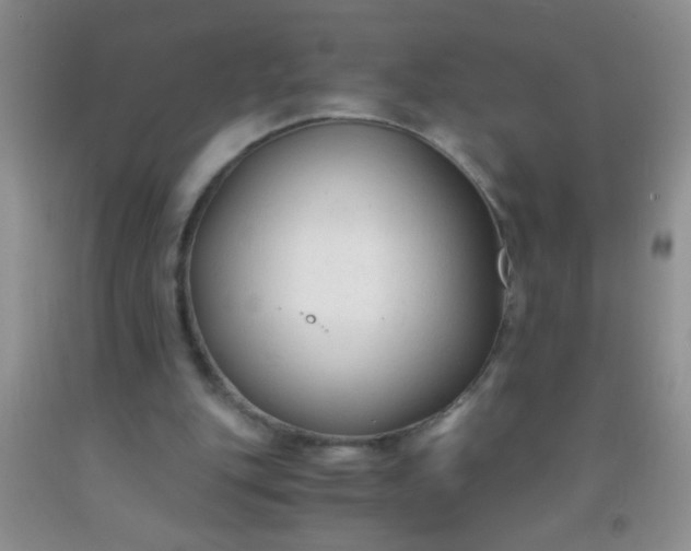 X0000092020151200709201558