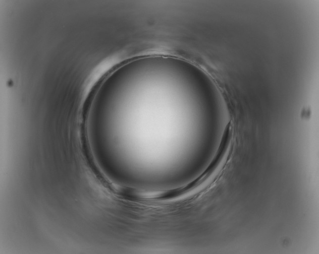 X0000092020152200709201558