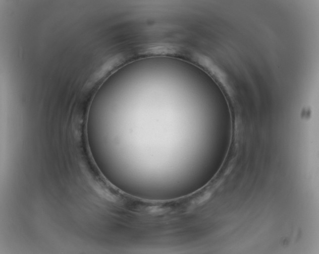 X0000092020153200709201558