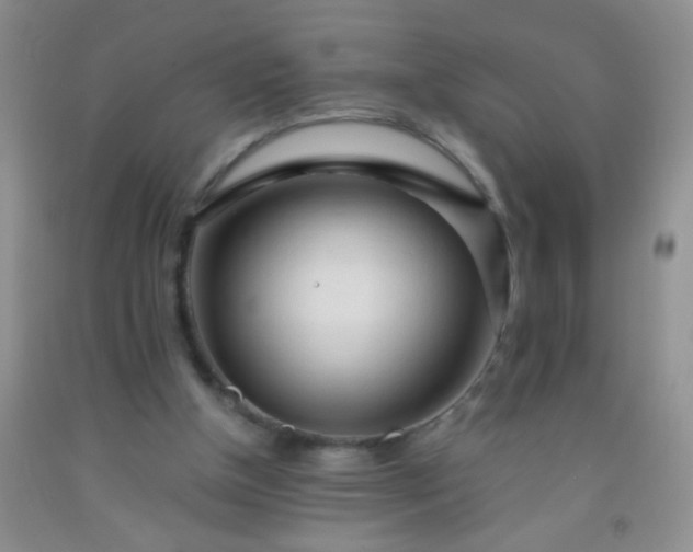 X0000092020154200709201558