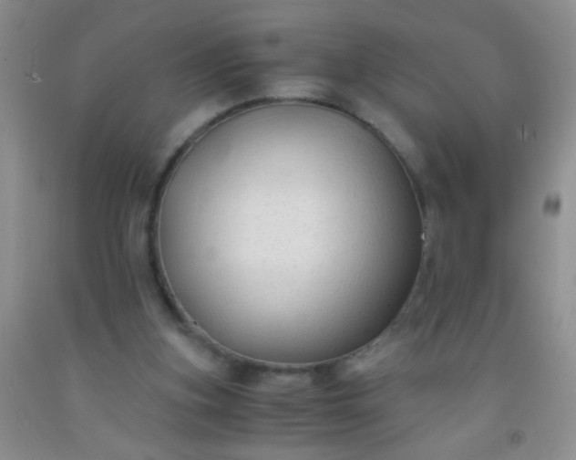 X0000092020155200709201558