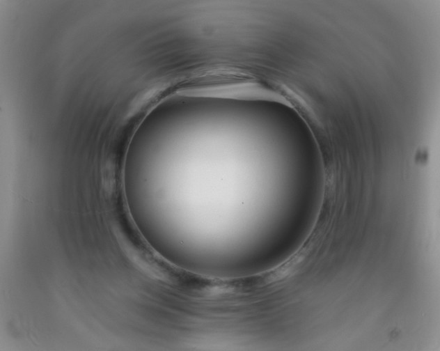 X0000092020158200709201558