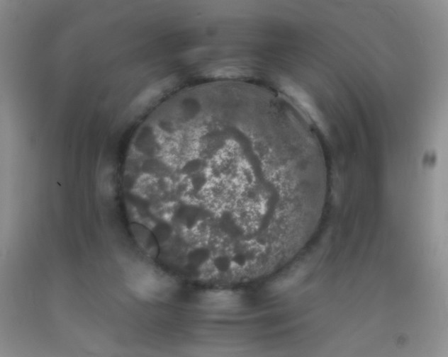 X0000092020161200709201558