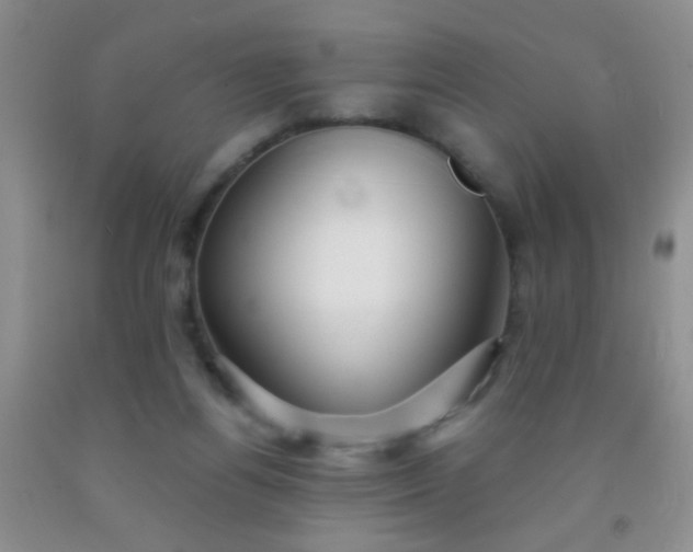 X0000092020164200709201558